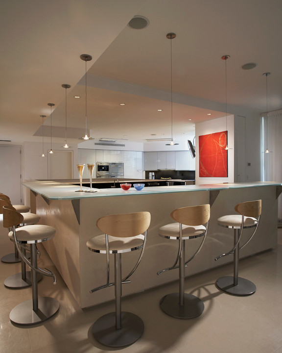Design ideas for a contemporary kitchen in Miami.