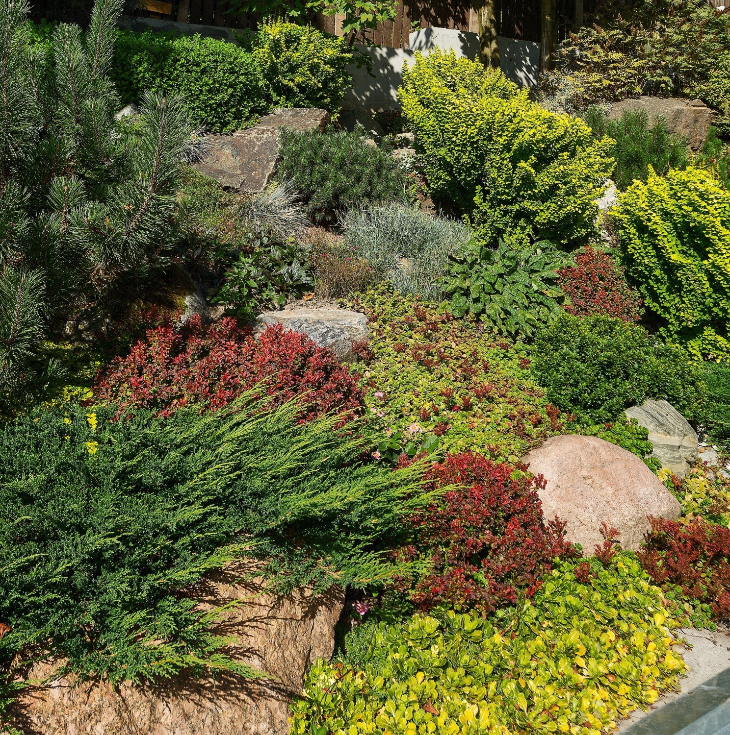 Озеленение жилого комплекса