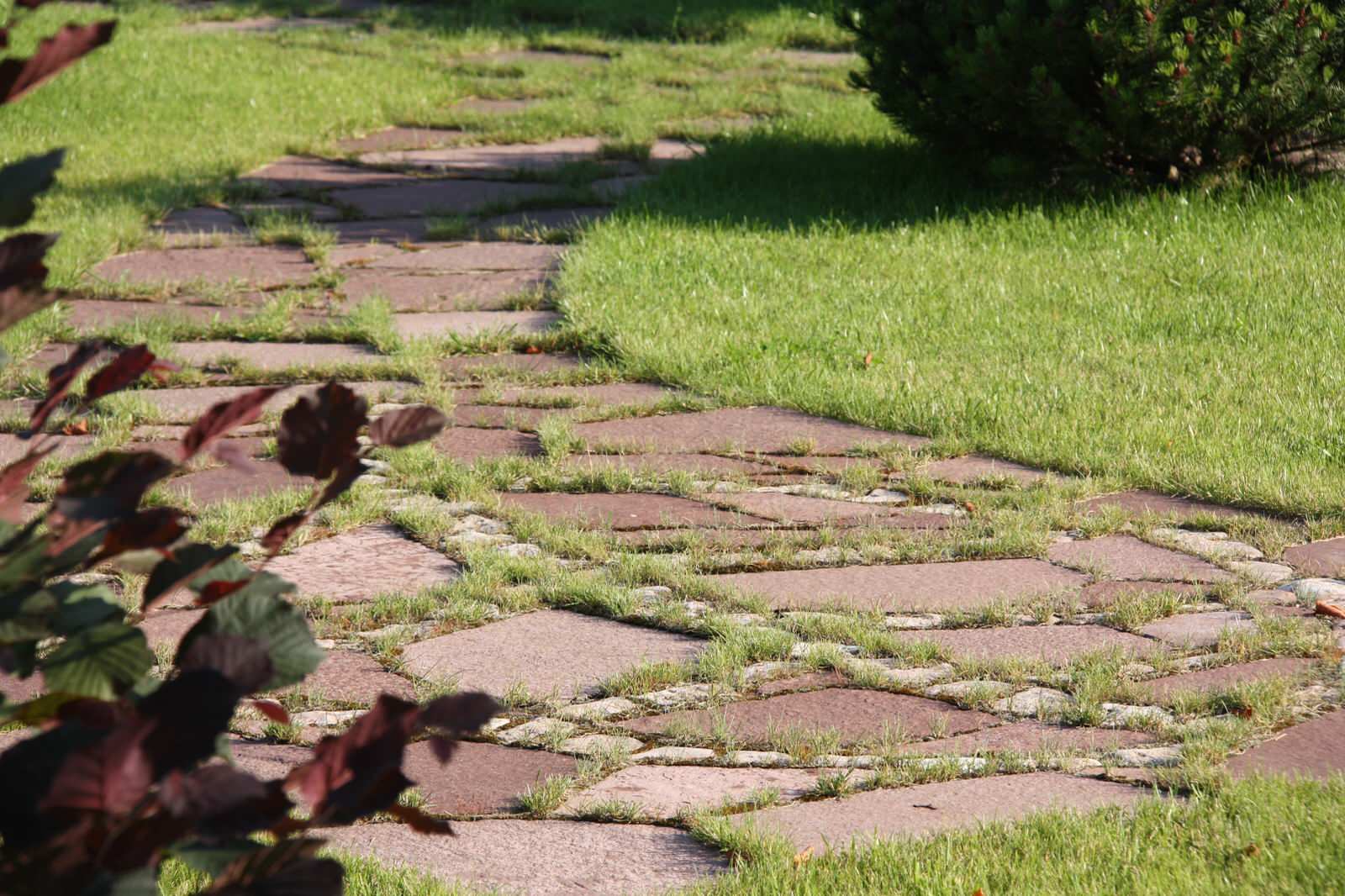Дорожка из натурального камня (розовый плитняк) в траве