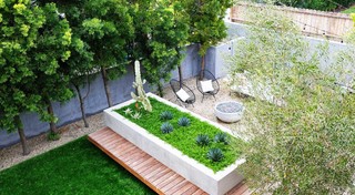 How to Get More Plants Free (18 photos)