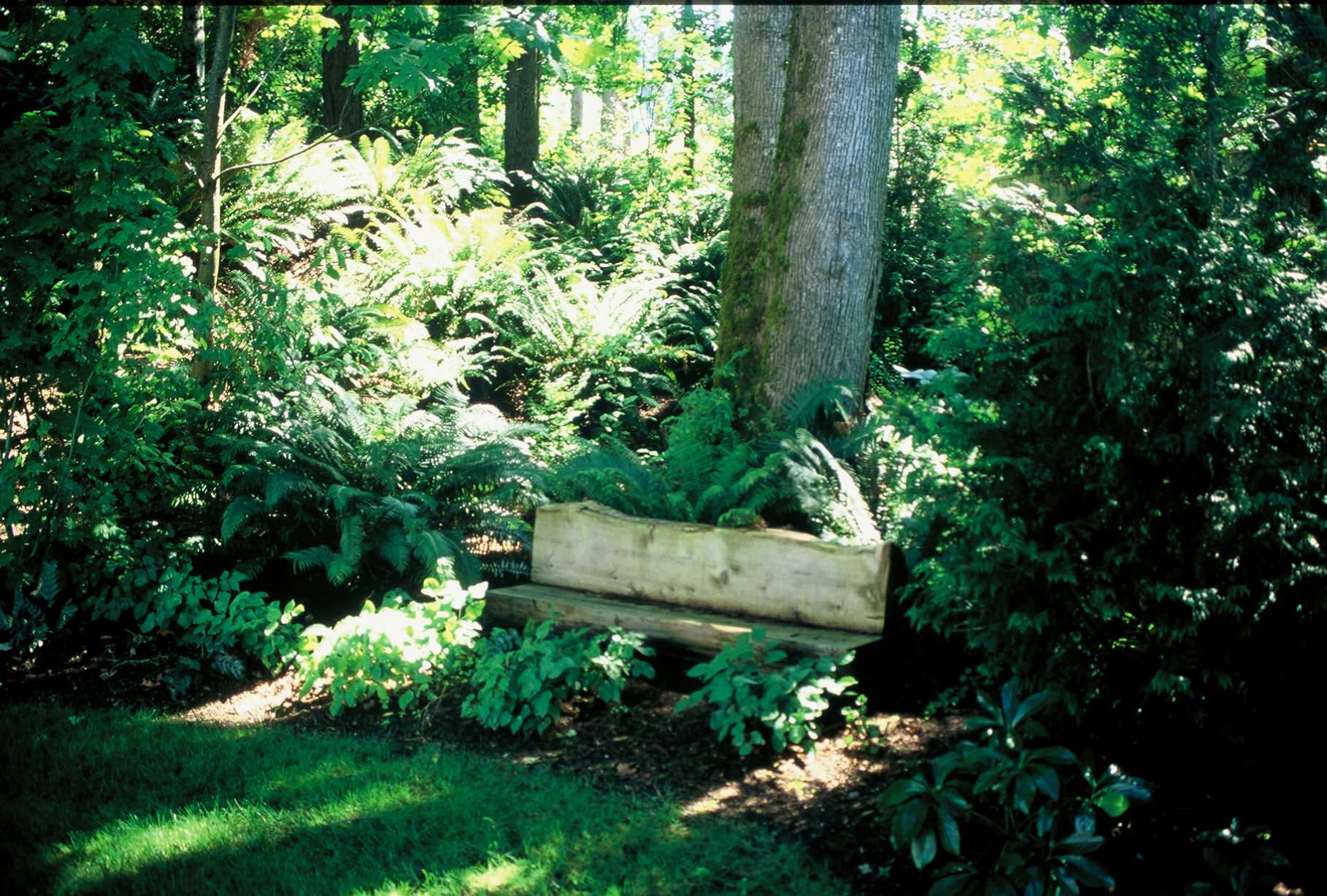 Rustic bench seat with NW native plantings