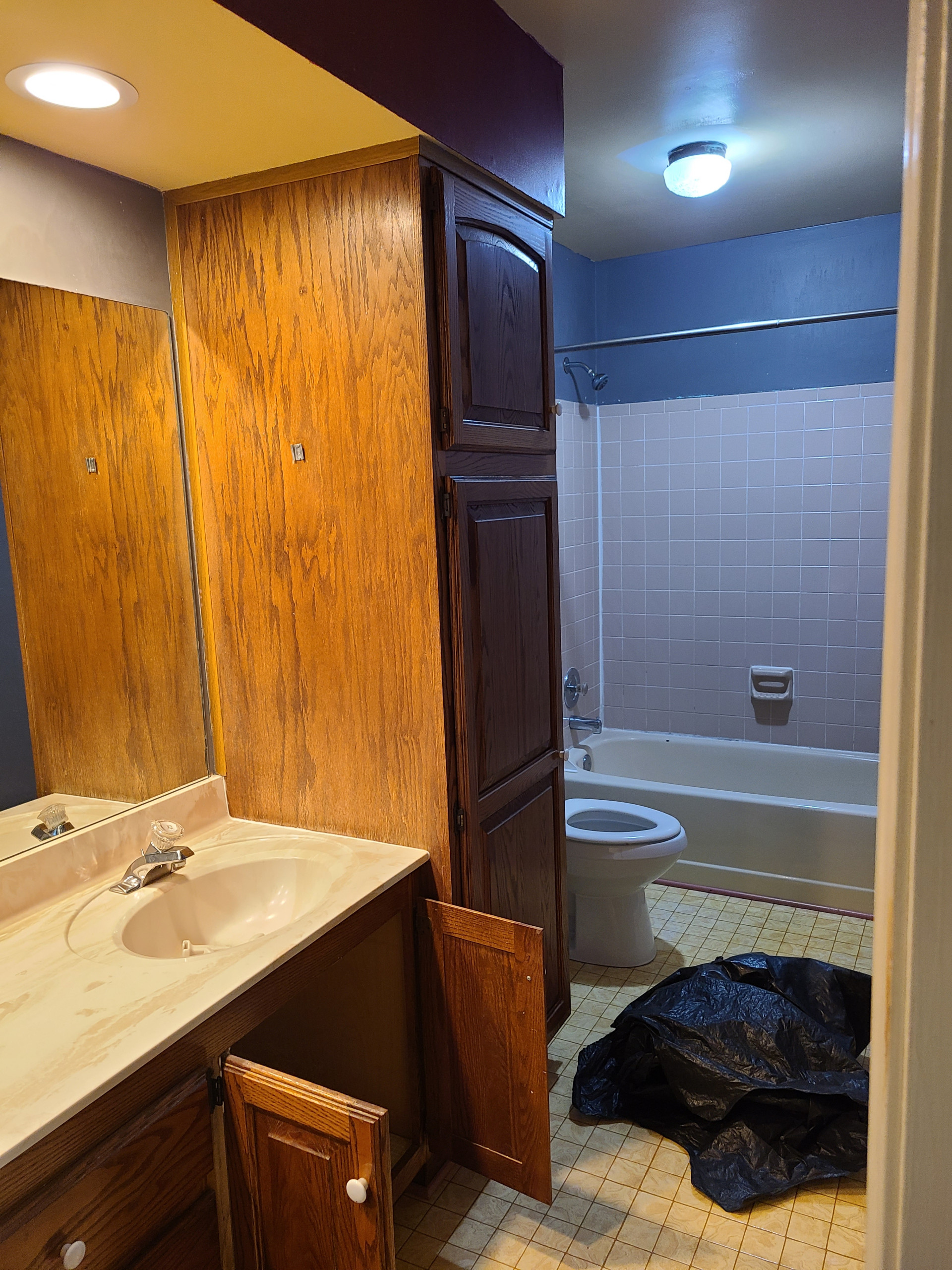 Bathroom Remodel