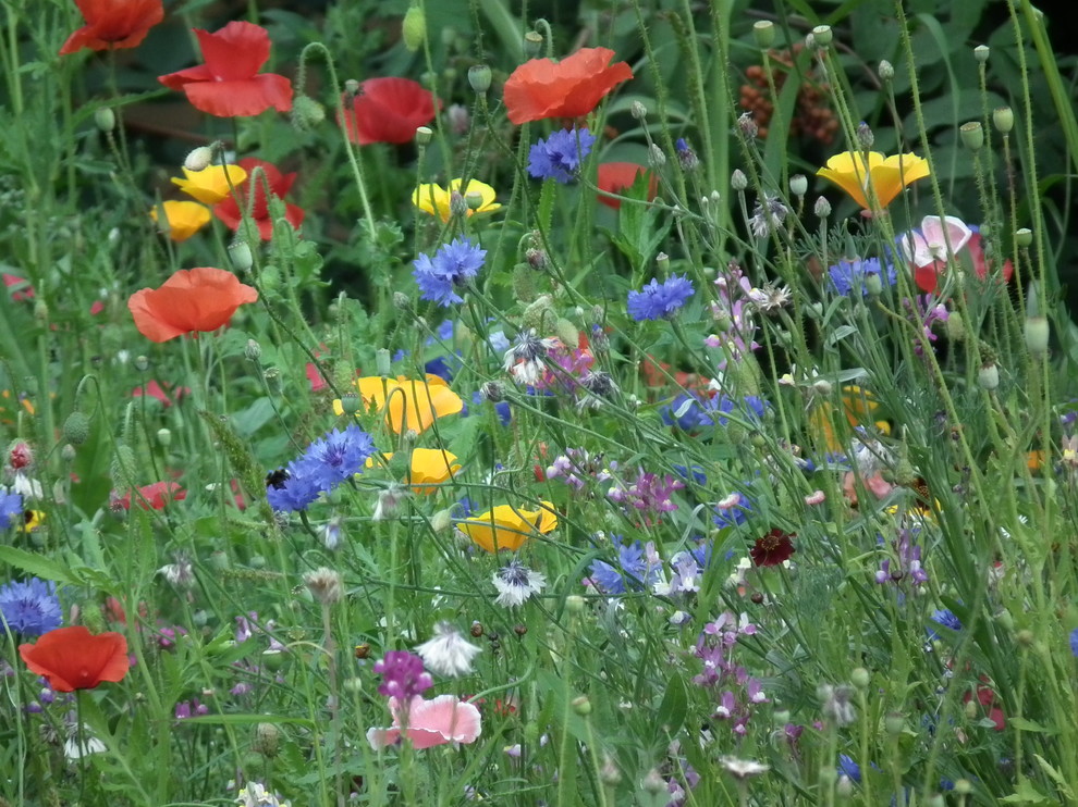 Выполненные работы