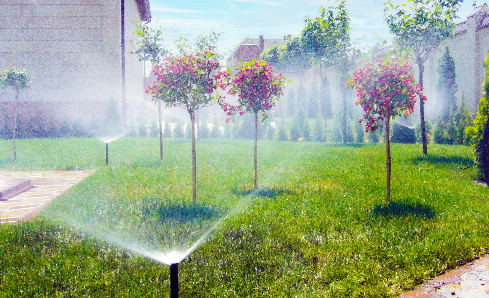 Ландшафтный дизайн в Сестрорецке