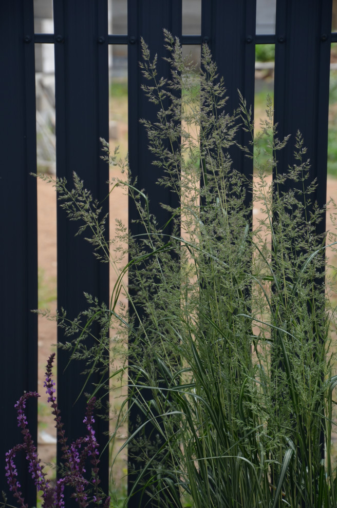 Мягкий и пушистый