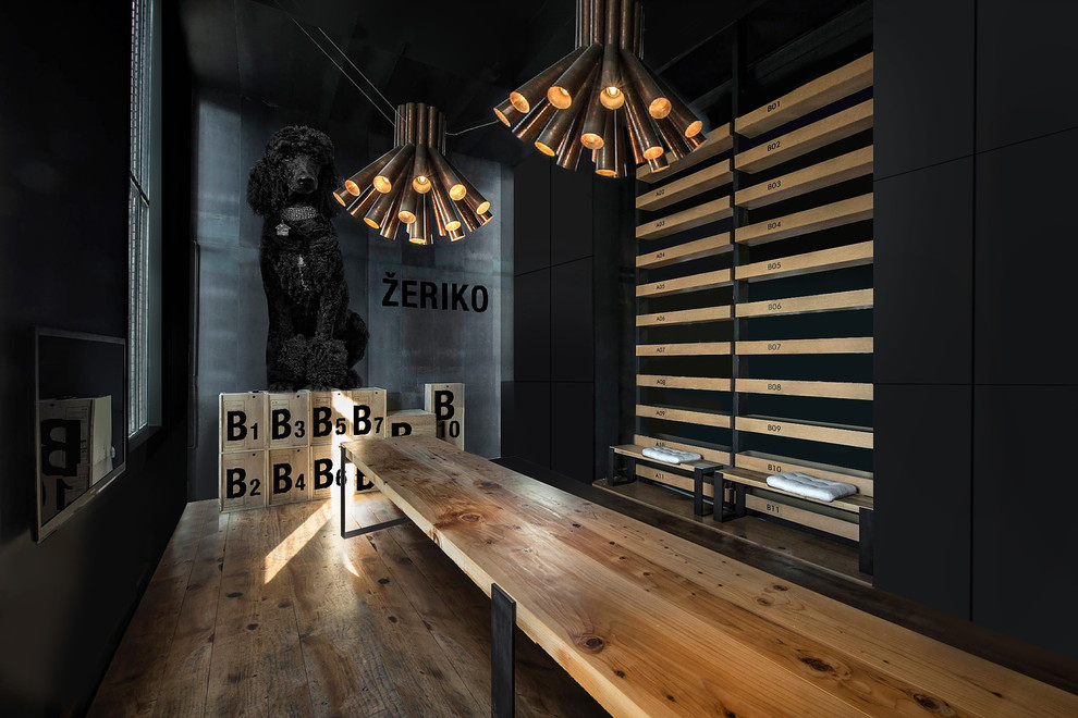 Школа Ромиса Бемса