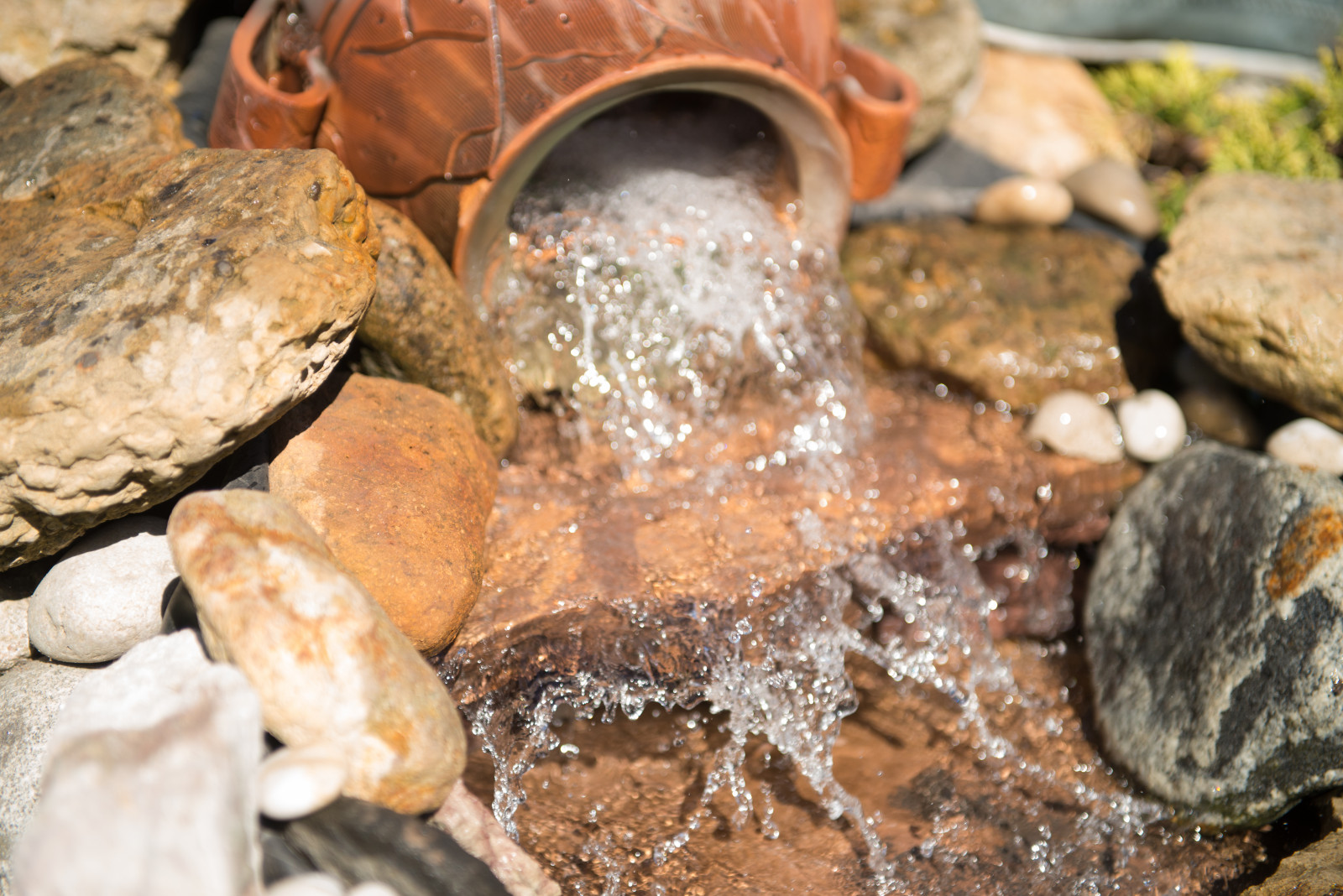 Озеленение сада