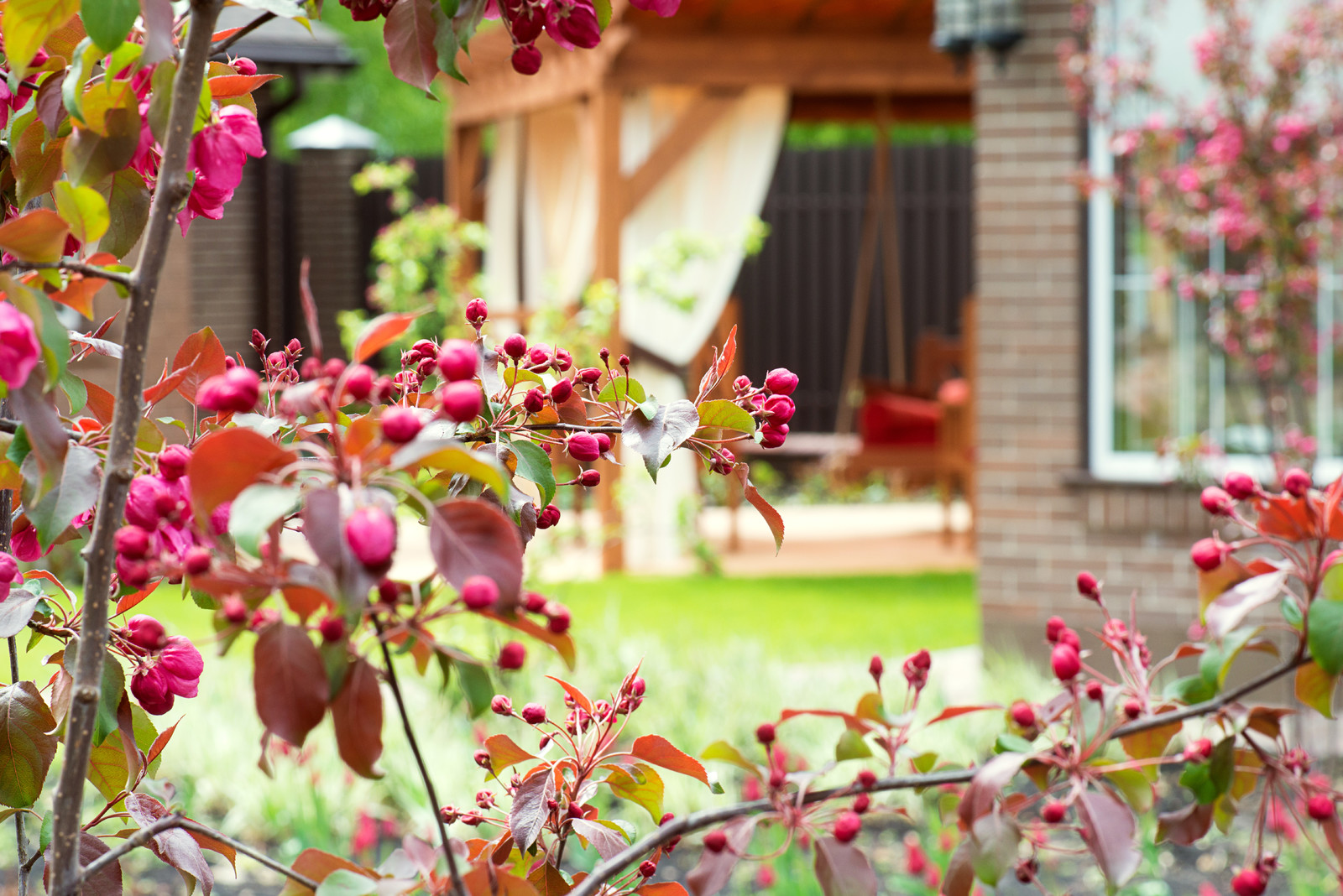 Первая весна в саду "Красный октябрь"