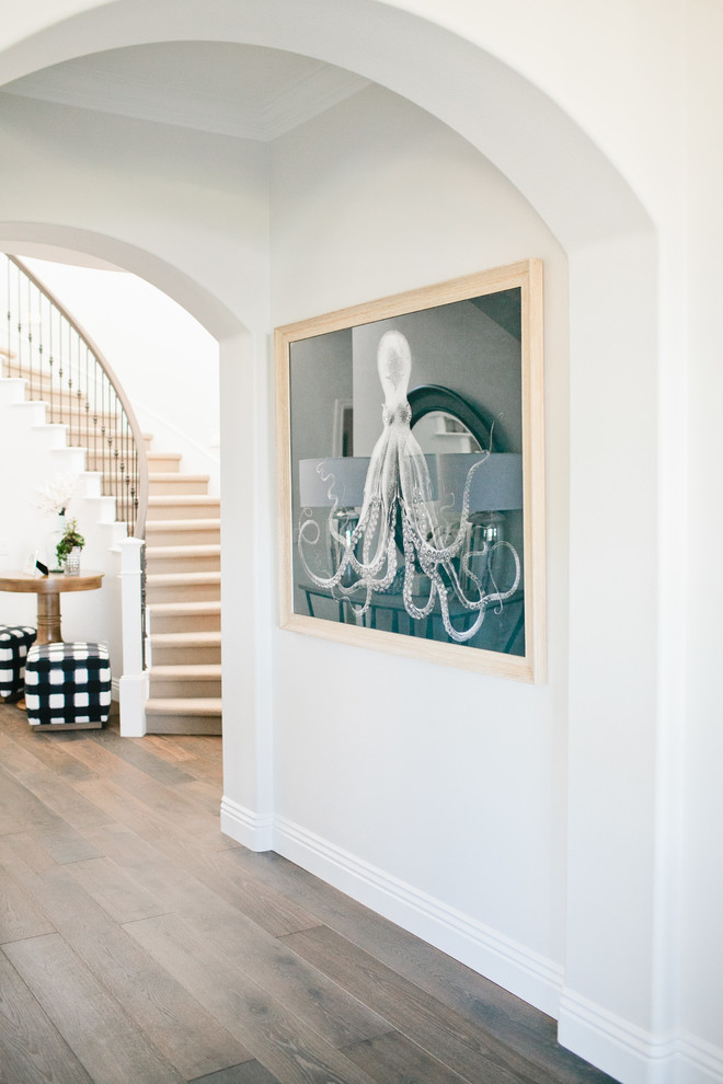 Mid-sized transitional dark wood floor front door photo in Orange County with white walls