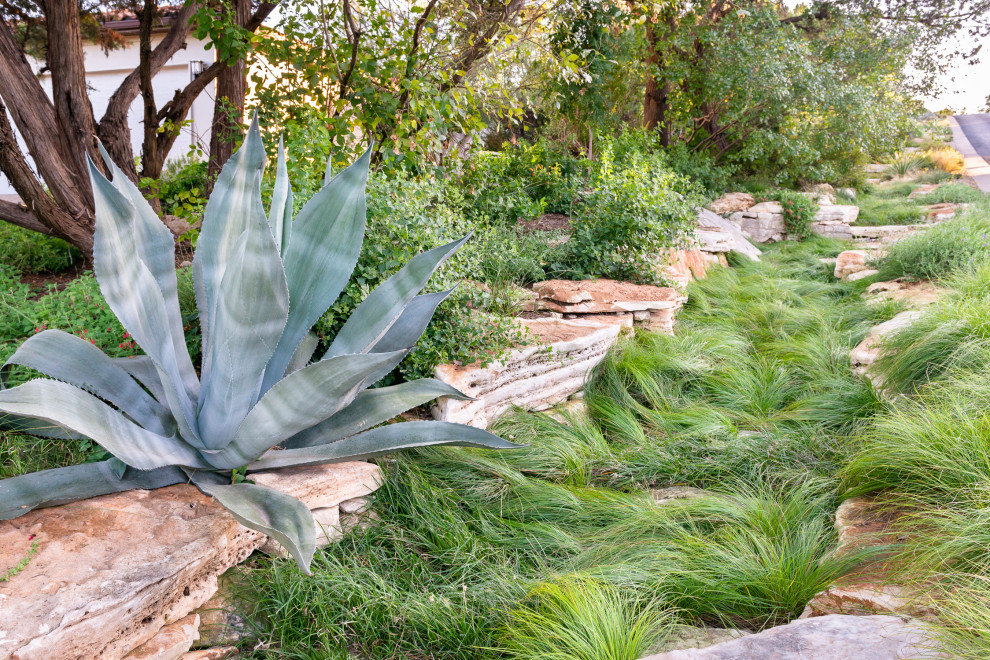 Photo of an expansive sloped full sun xeriscape in Austin with river rock.