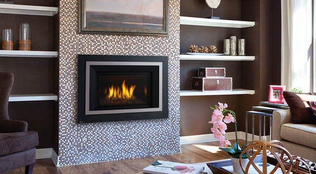 Regency Gas Fireplace Inserts Living Room San Francisco By