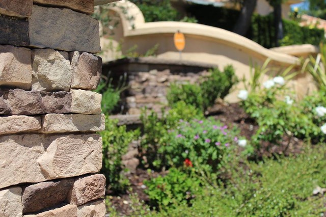 Scripps Ranch contemporary-garden