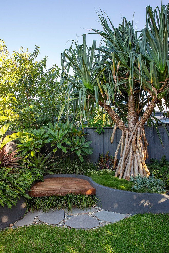 Tropical backyard garden in Brisbane.