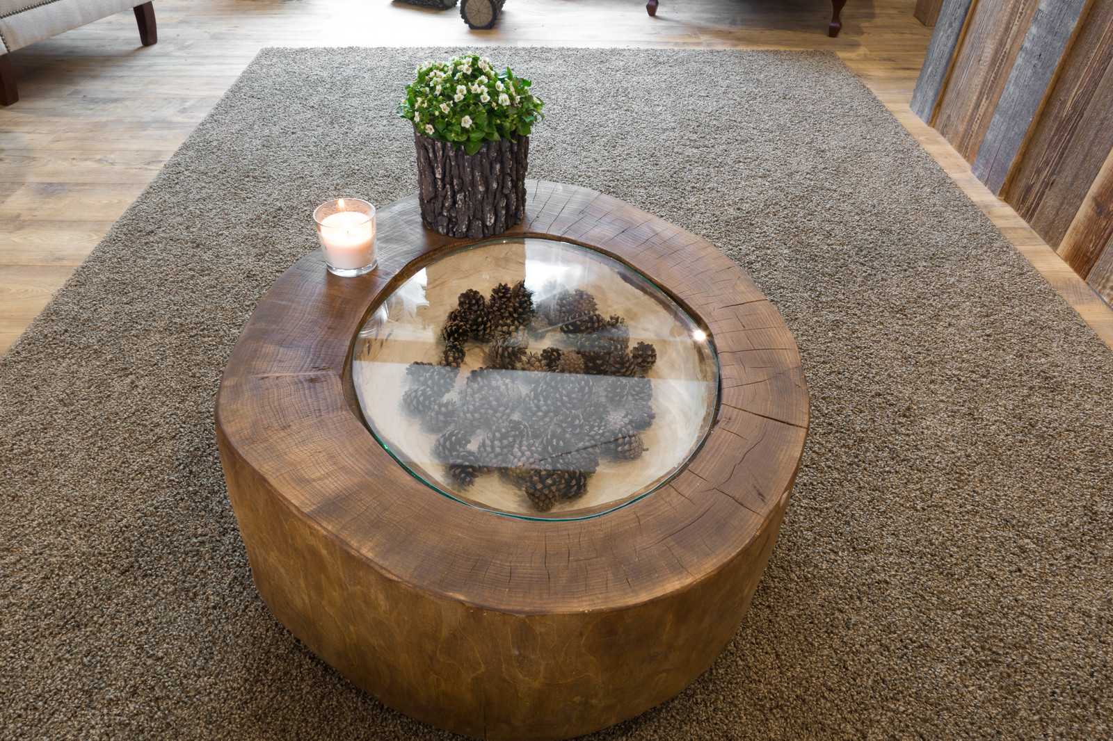 первый канал Фазенда "Лес"