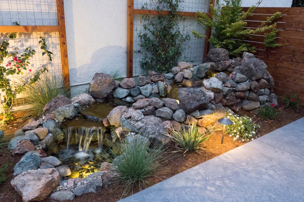 Design ideas for a small contemporary front yard shaded formal garden in San Francisco with with pond and natural stone pavers.