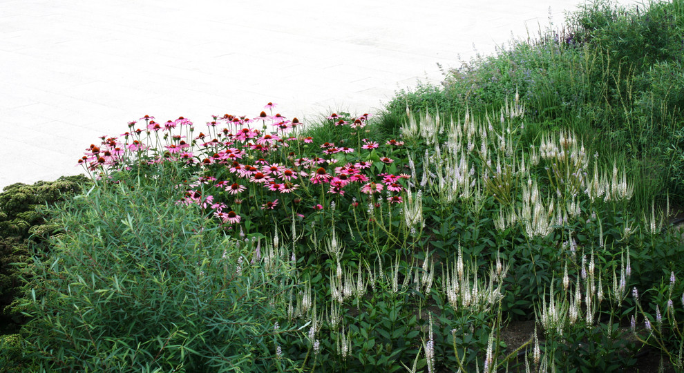 Цветники Советской площади