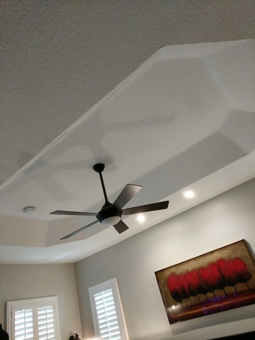 Advice on what color to paint tray ceiling?