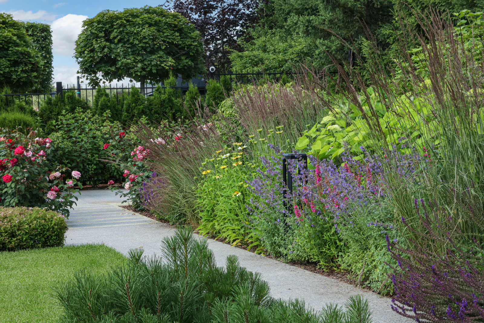 Игра в геометрию