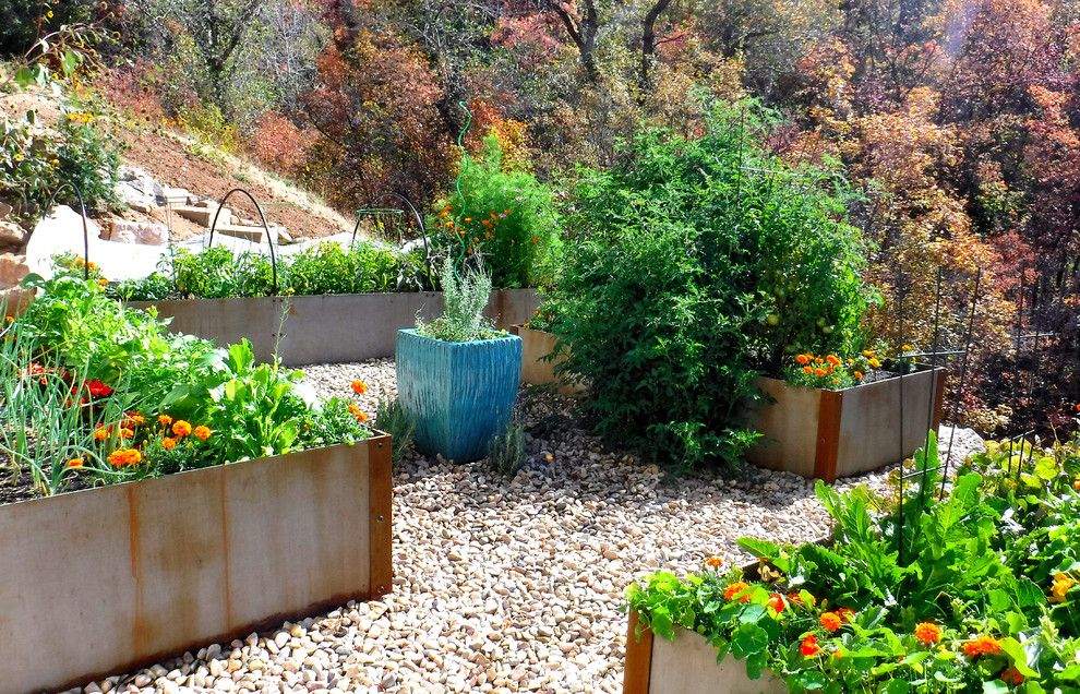 Inspiration för mellanstora moderna trädgårdar i full sol, med en köksträdgård och grus