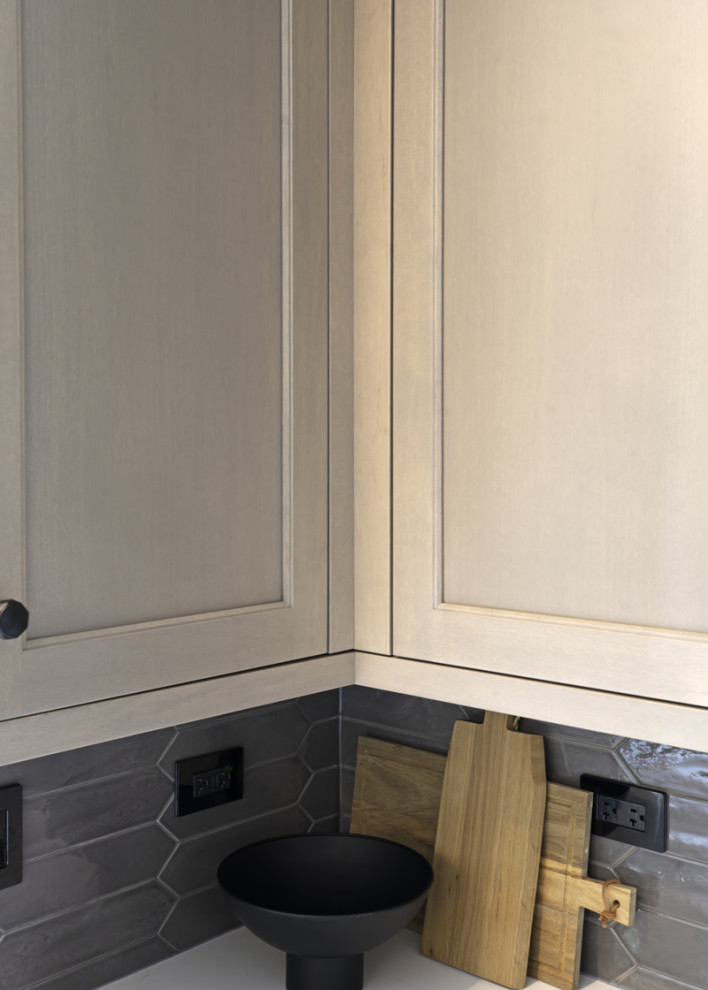 Example of a transitional home design design in Chicago