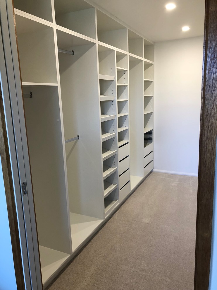 Inspiration for a mid-sized contemporary walk-in wardrobe in Canberra - Queanbeyan with flat-panel cabinets, white cabinets, carpet and white floor.