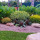 Jim's garden