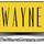 The Wayne Company