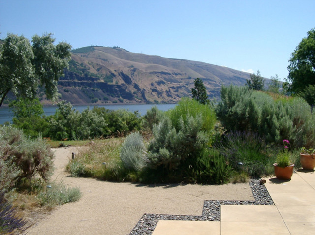 Native Landscape Restoration contemporary-garden