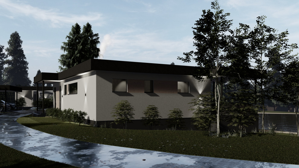 Проект в Шепелево