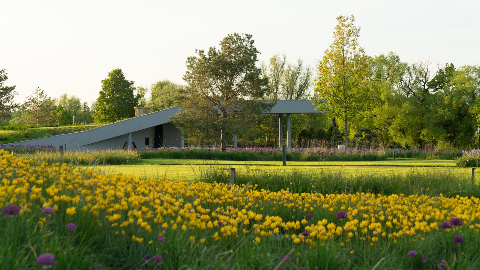 Природный сад. Жуковка XXI век. 2017-2018 гг.