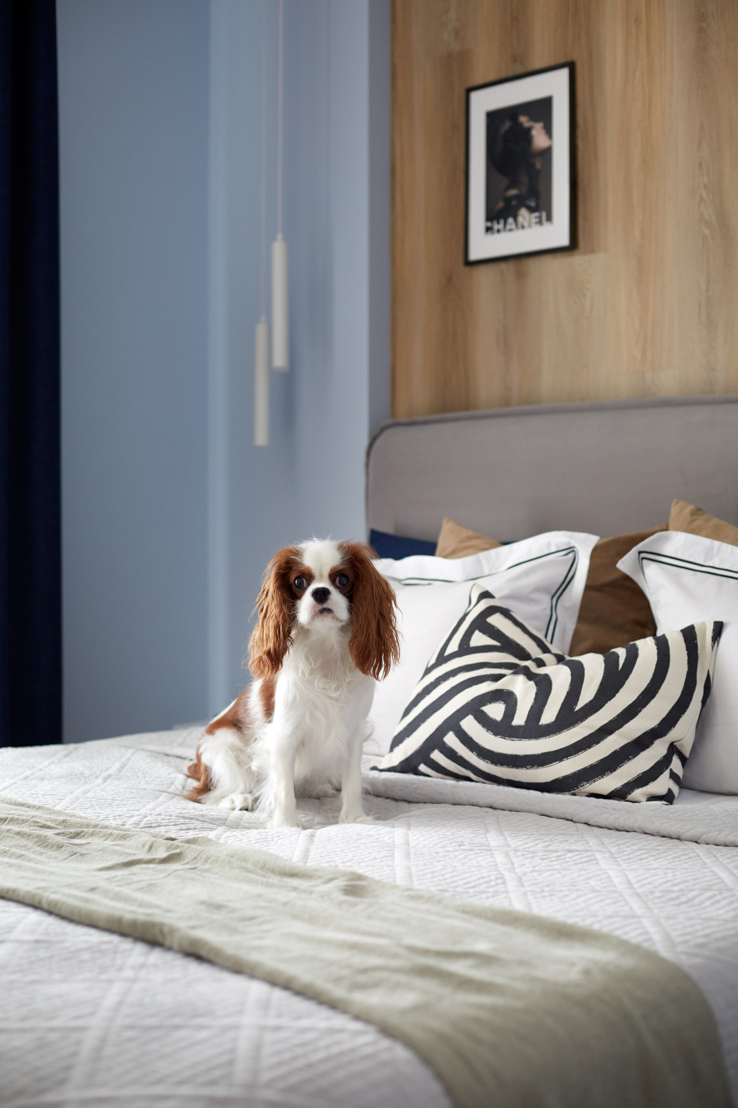 ЖК "Дмитриевский"