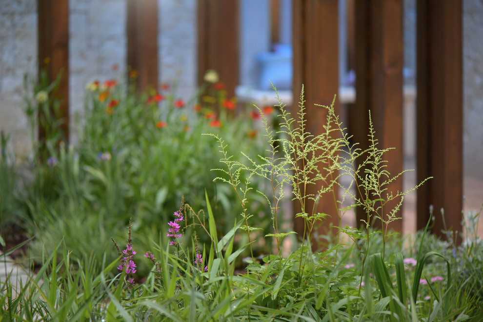 Золотая медаль и звание лучший сад международного конкурса "Moscow Flower Show"