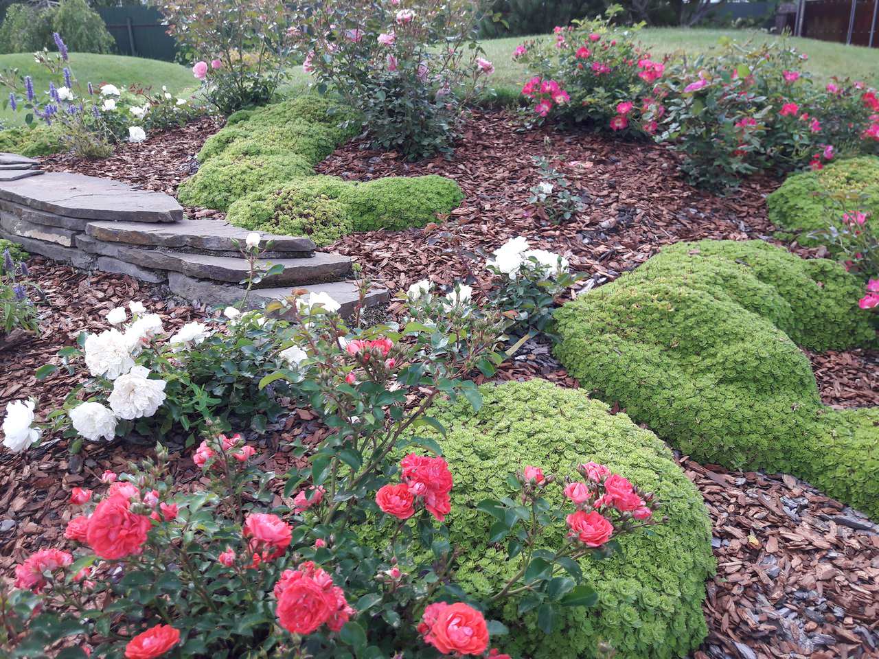 Сад  на холмах