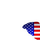American Homes Remodel and New Construction
