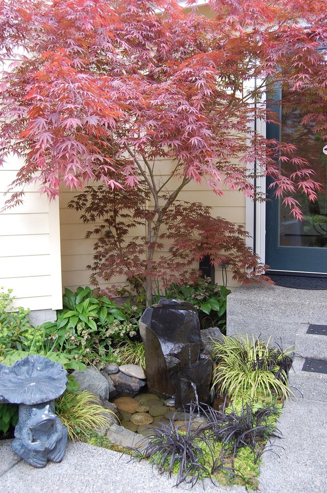 Design ideas for an asian garden in Seattle.
