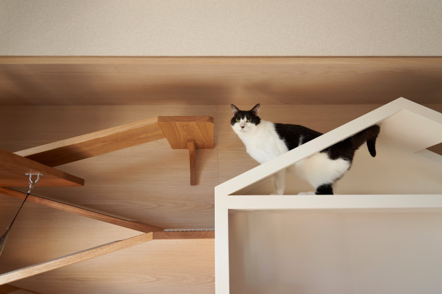 ねこの街壁 scandinave-salon