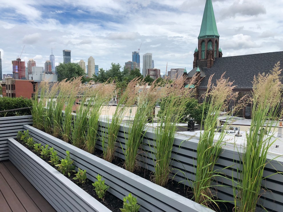 Jersey City Roof Garden