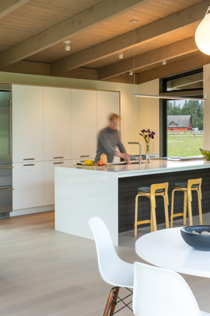 Kitchen midcentury-kitchen
