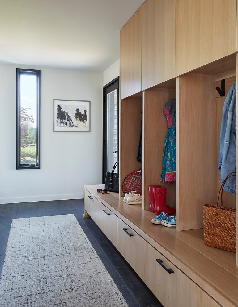 Inspiration for a large modern mudroom in Milwaukee with multi-coloured walls, a single front door and black floor.