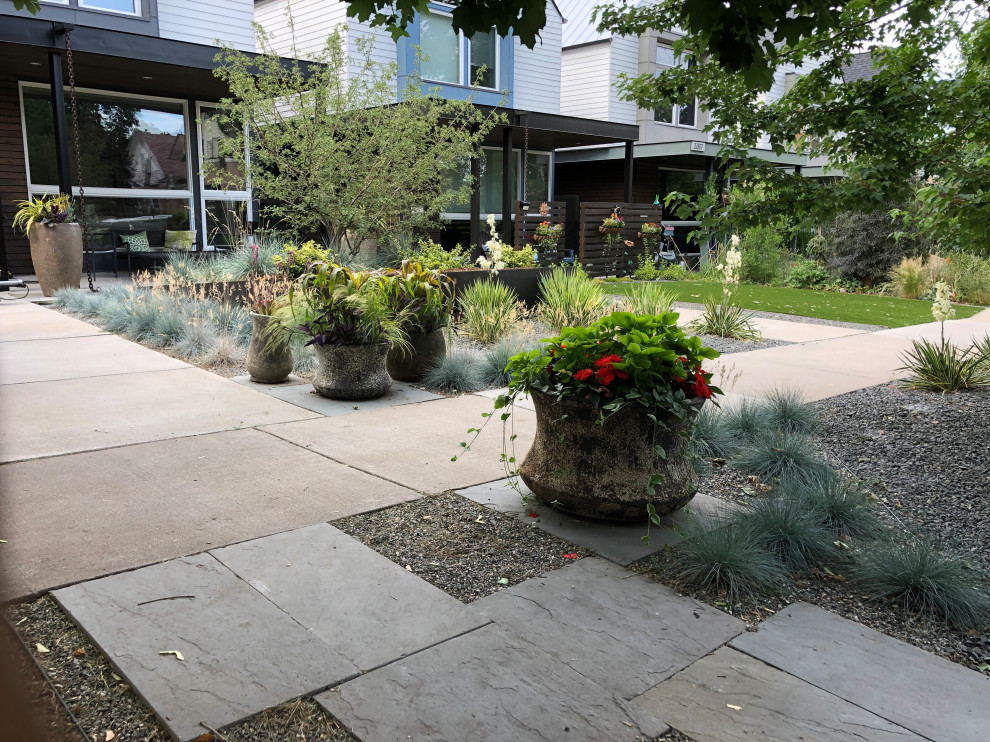 This is an example of a small modern front yard full sun xeriscape in Denver with natural stone pavers.