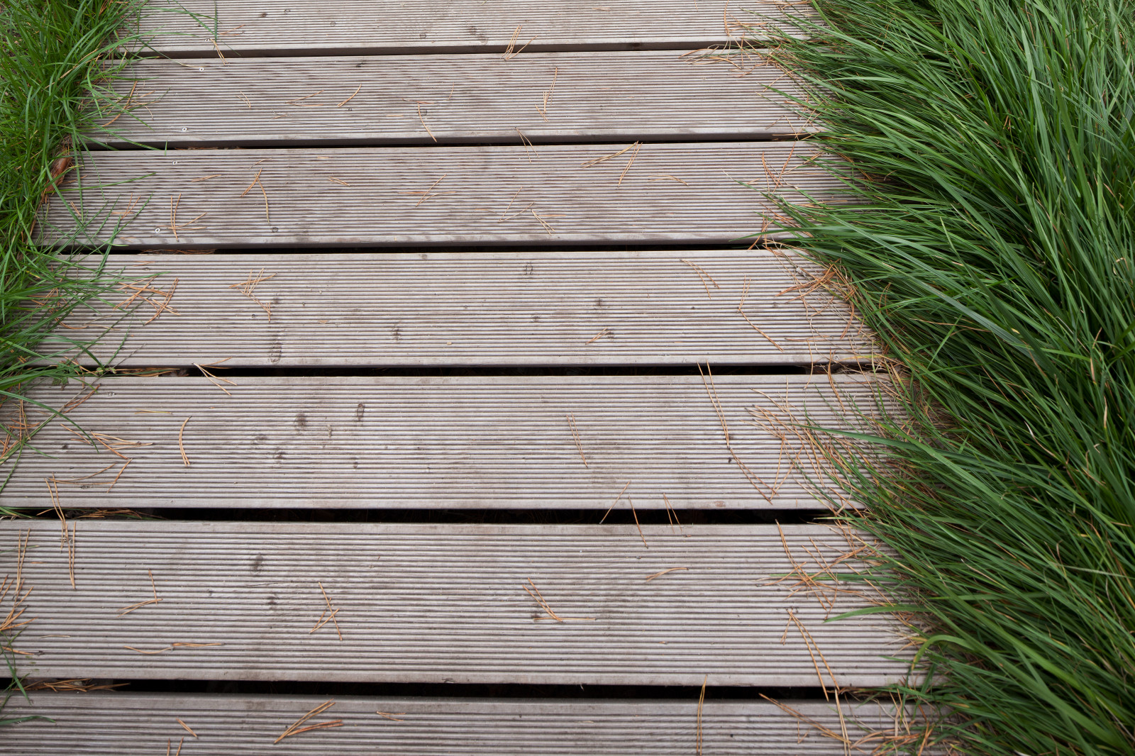 The house in the Log Cabin