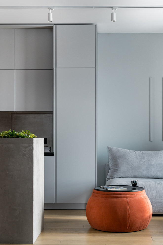 Immagine di un soggiorno minimal di medie dimensioni con pareti grigie, pavimento in legno massello medio e pavimento beige