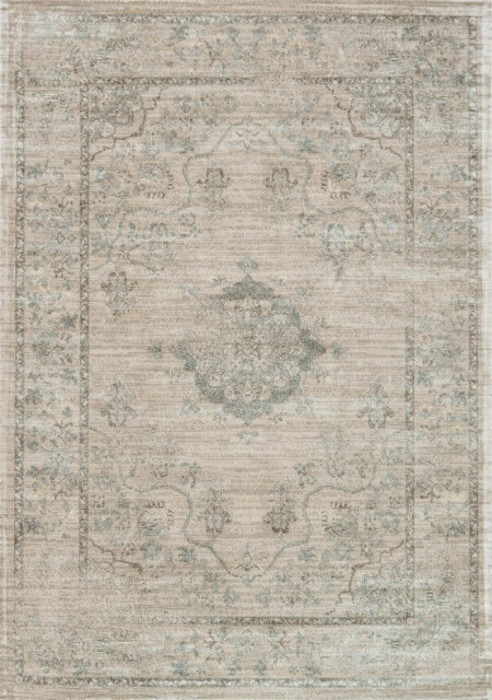 Loloi Nyla Viscose Area Rug, Beige and Blue, 12'x15' - Contemporary ...