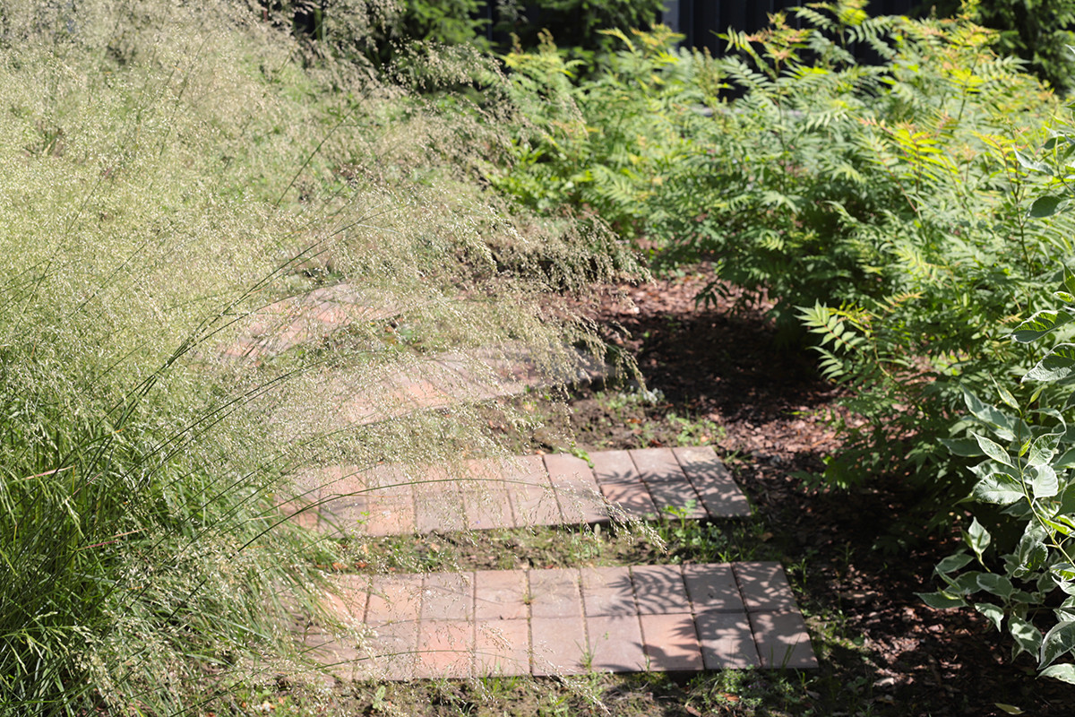 Солнечный берег