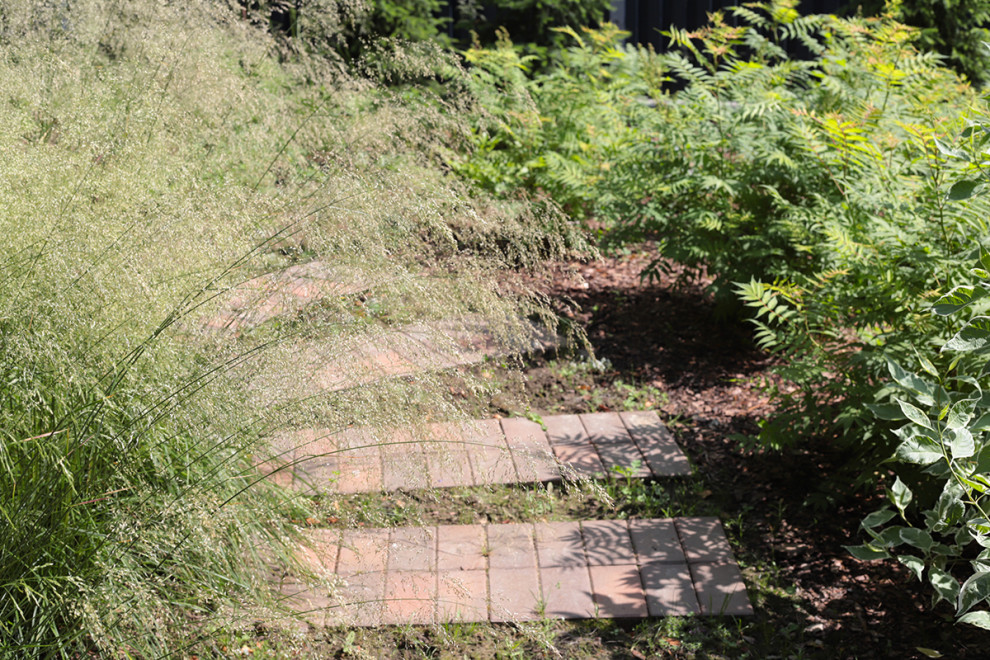 Солнечный берег