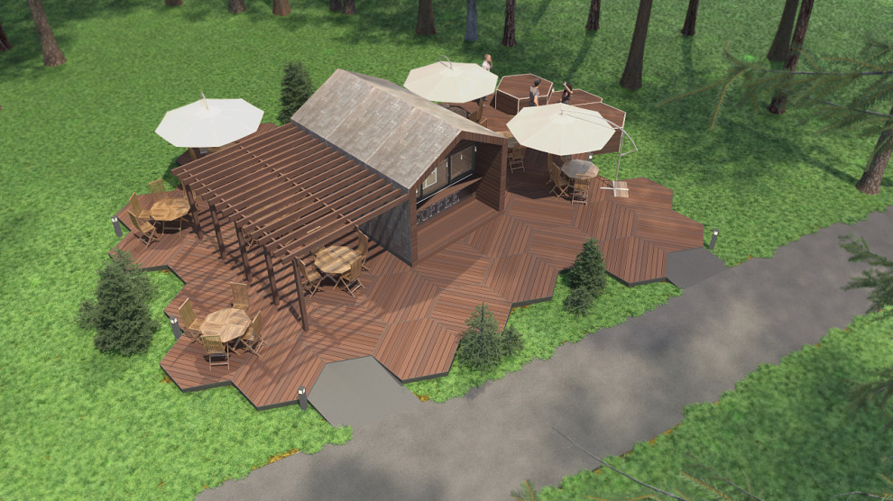 Проект организации нестационарного торгового объекта