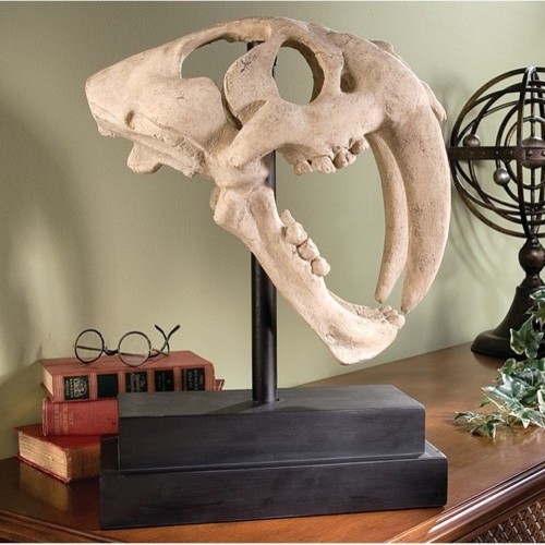 Saber-Toothed Tiger Skull Artifact in Stone