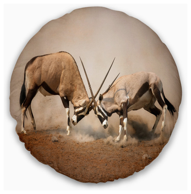 Gemsbok Antelopes Fighting African Wall Throw Pillow 16 Round
