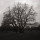 julia_dwyer62