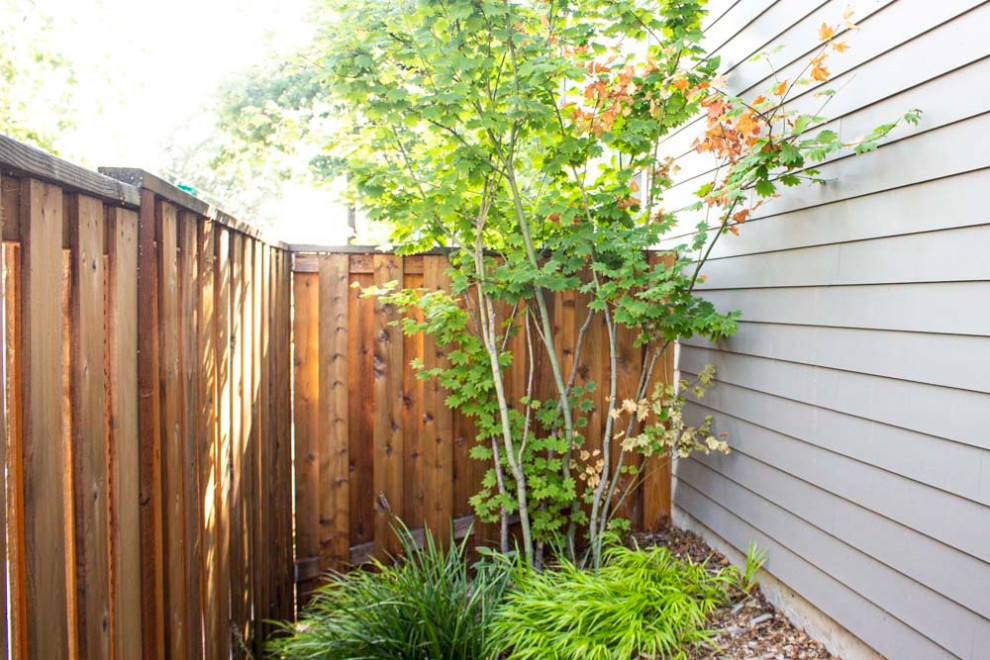 Inspiration for a small modern backyard shaded garden in Portland with with privacy feature and brick pavers.